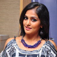 Remya Nambeesan at salamath press meet - Pictures | Picture 105746